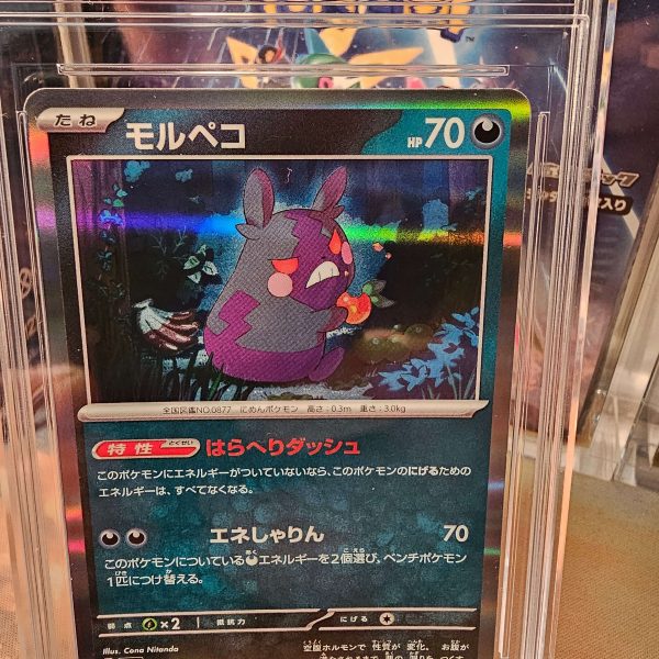 POKEMON Ancient Roar (JP) - Morpeko Holo 051/066